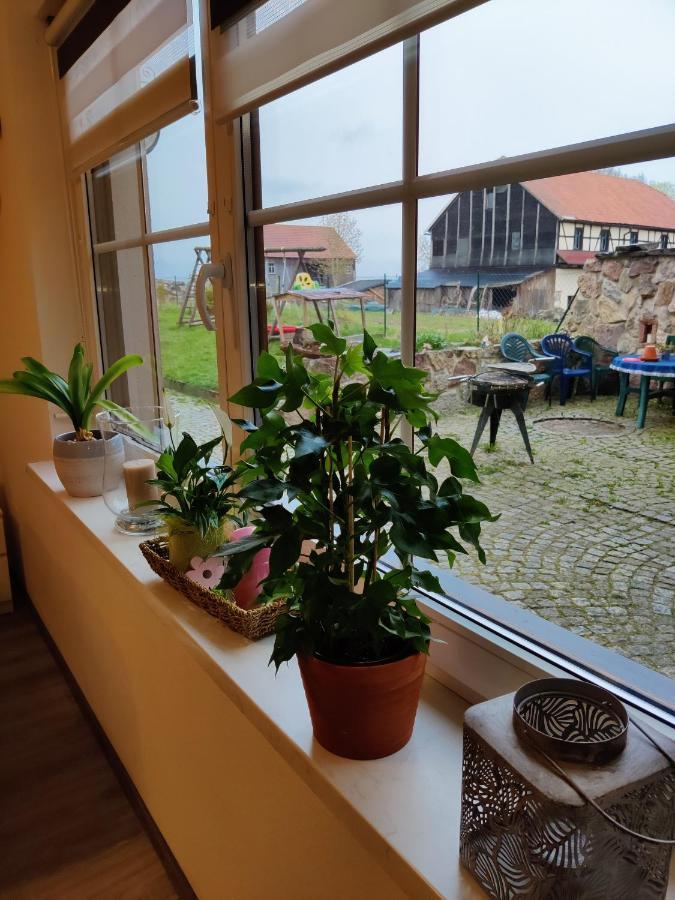 Ferienwohnung Brunow "In Der Natur Zuhause" Neundorf  エクステリア 写真