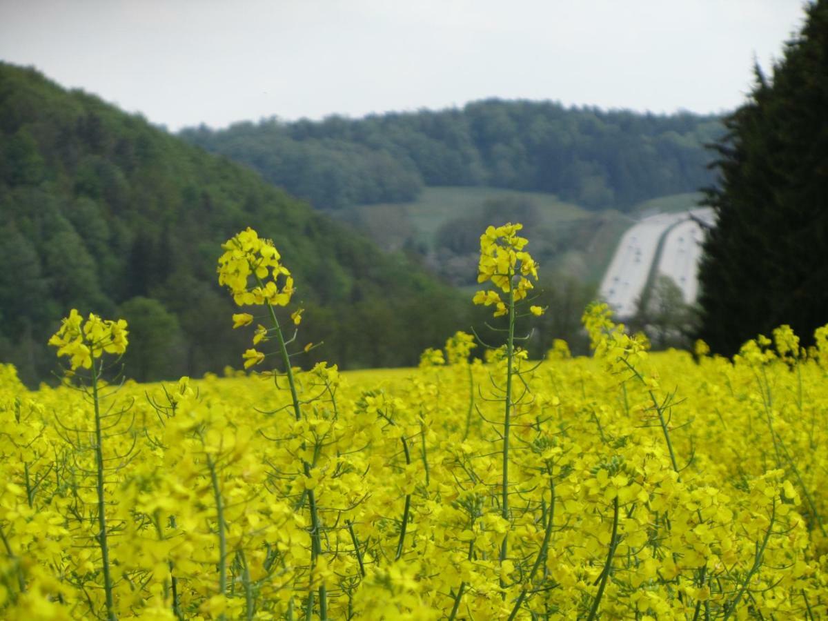 Ferienwohnung Brunow "In Der Natur Zuhause" Neundorf  エクステリア 写真